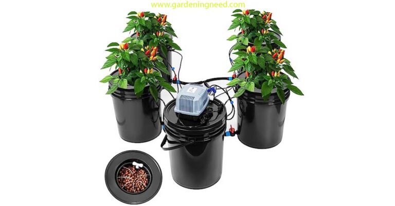 5 gallon bucket hydroponic drip system