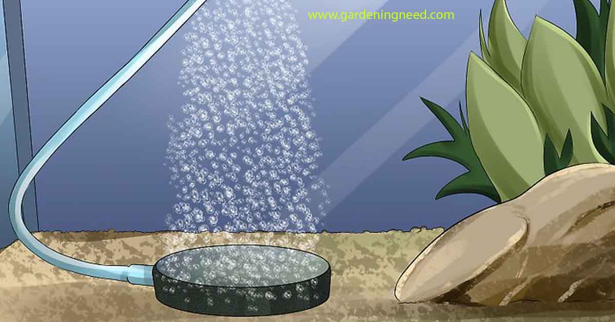 how to clean air stones for hydroponics