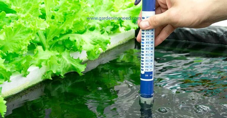 Hydroponics EC Levels