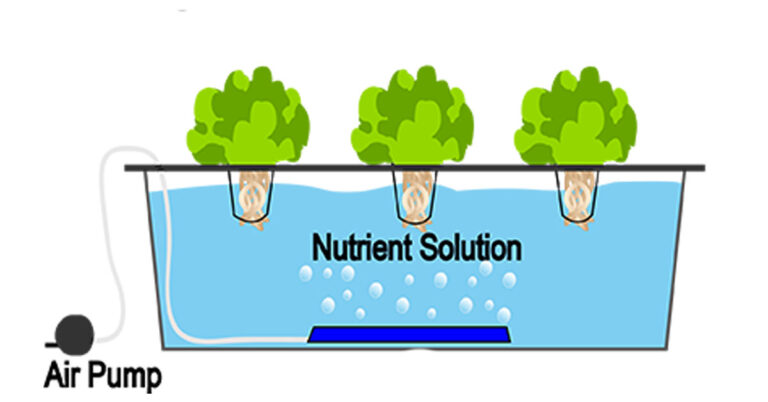 Perfect Your Hydroponics Water Level For Net Pots