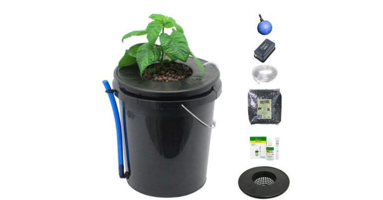 Single Bucket Hydroponic System