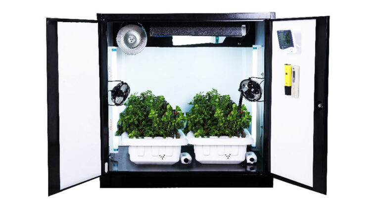 Stealth Hydroponics: Elevate Your Indoor Gardening