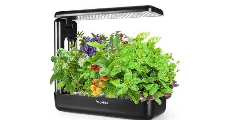 VegeBox Hydroponics: Growing Fresh, Sustainable Produce at Home