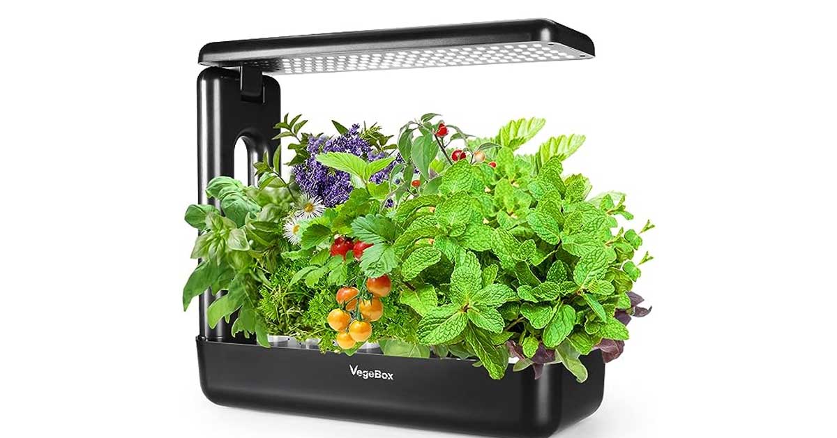 vegebox hydroponics