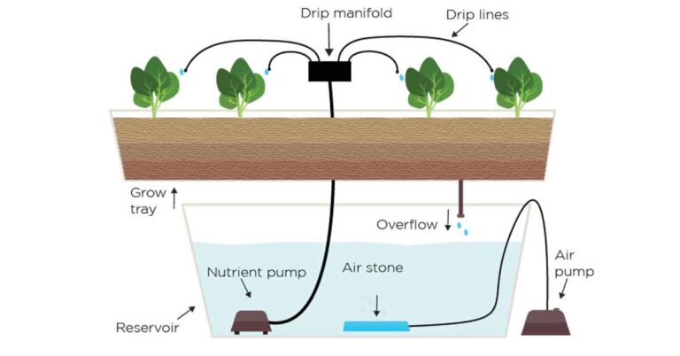 What is a Hydroponic Drip System?