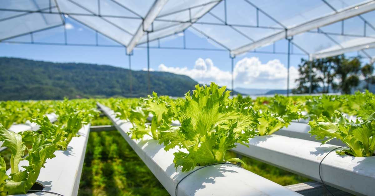 hydroponic tubing