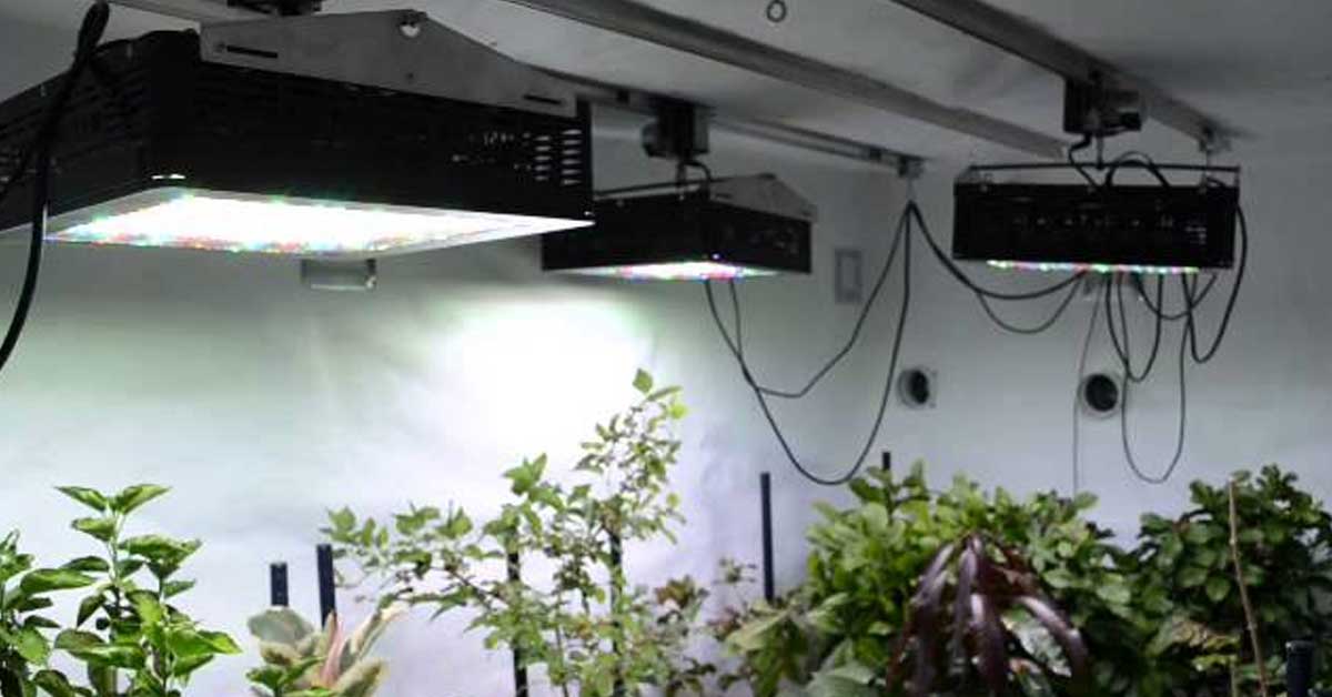 light movers hydroponics