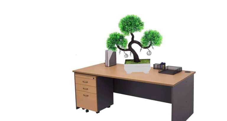 Bonsai Tree For Desk