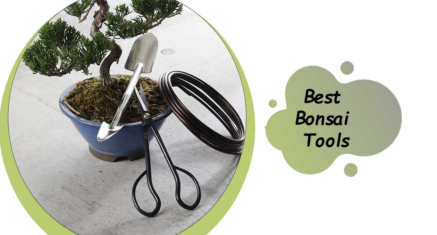 best bonsai tools