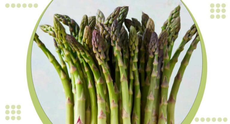 Asparagus Hydroponic: 4 Expert Tips for Successful Growth