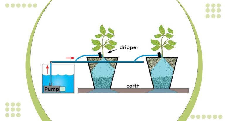 Drain to Waste Hydroponic System Guide for Maximum Yield 2024