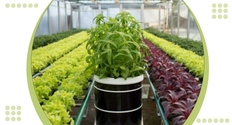 General Hydroponics Bucket System 5 Tips for Successful Indoor Gardening