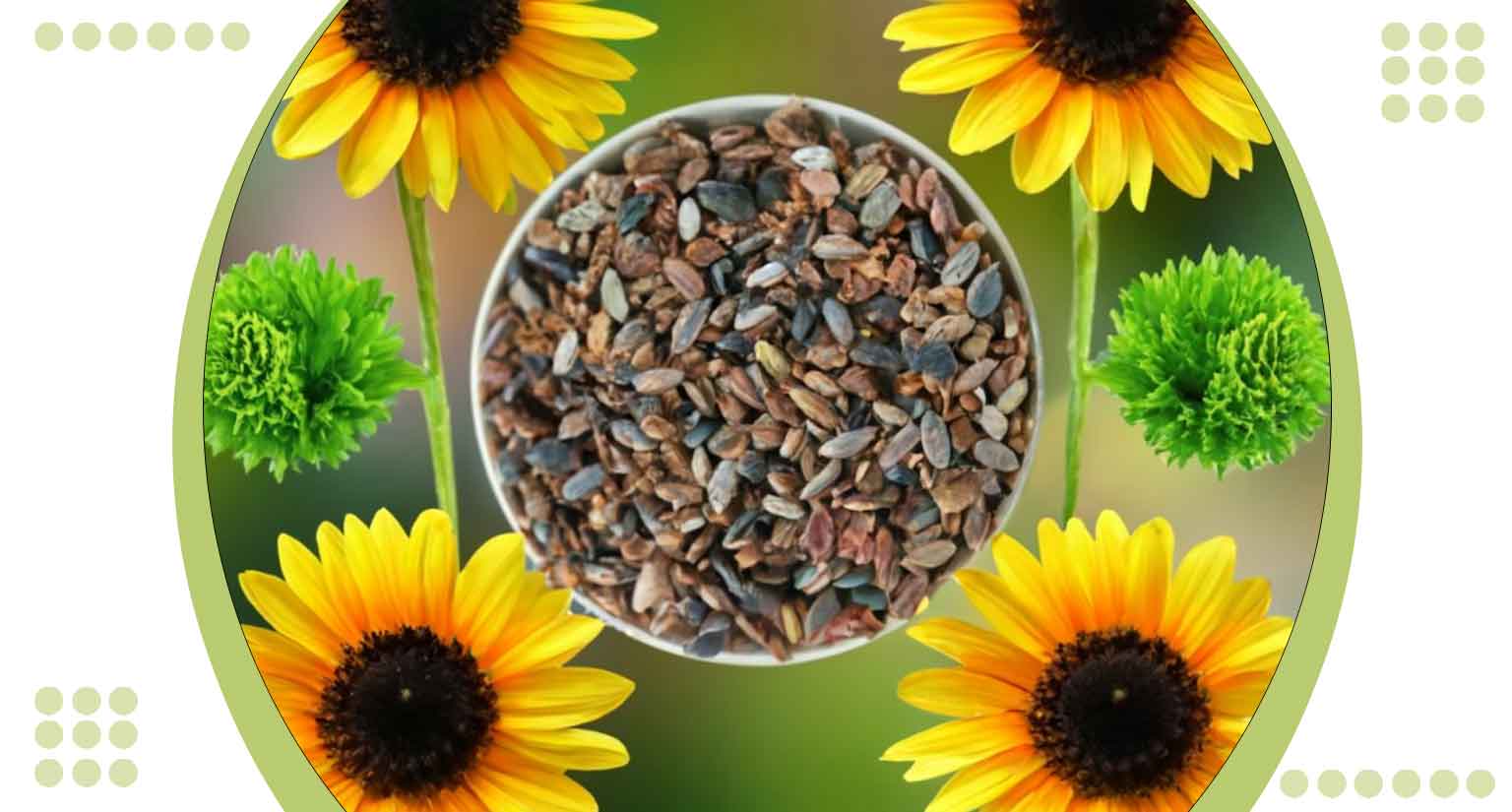 Pollinator Plant Seeds