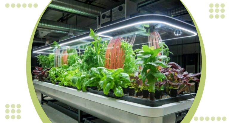 Best Hydroponics System: Top 10 Picks for Max Growth