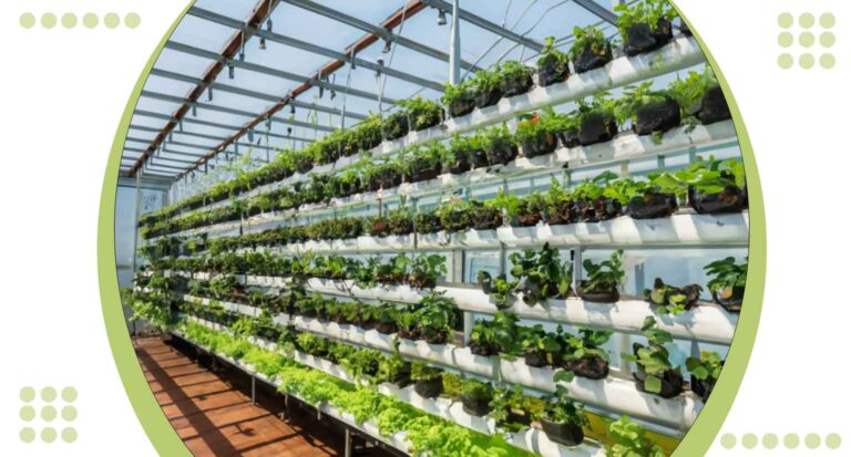 Vertical Hydroponics Systems: Maximize Yield with 3 Innovative Solutions