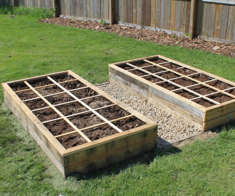 How To Build The Best Raised Garden Bed