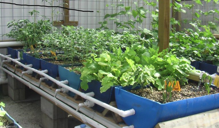 How To Make Raised Garden Beds Out Of Plastic Barrels