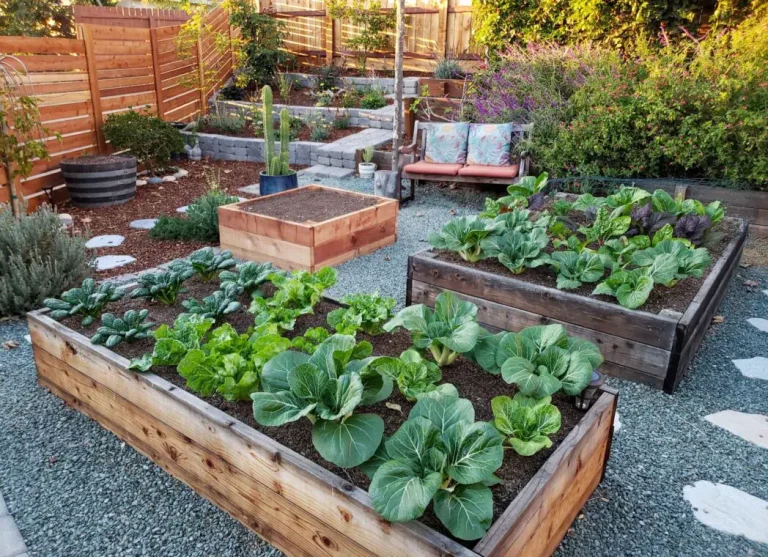 How To Design A Raised Bed Garden