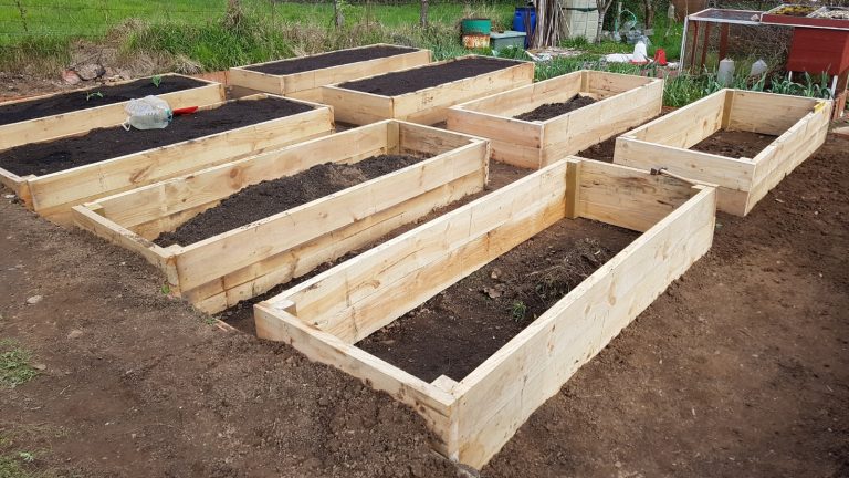 How To Build A Raised Garden Bed Off The Ground