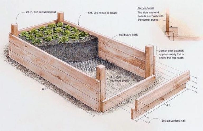How To Build A Raised Vegetable Garden Bed
