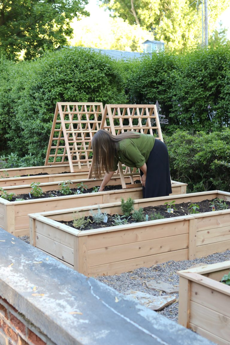 How To Build A Durable Raised Garden Bed