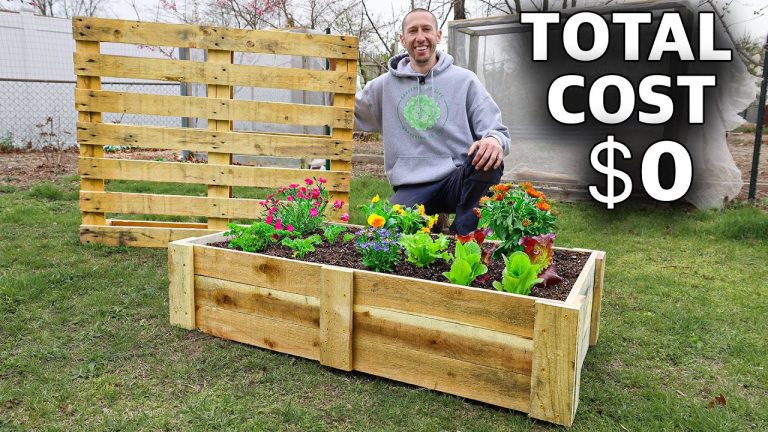 Raised Garden Beds From Recycled Materials