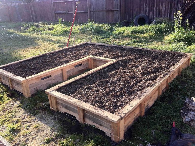 How To Build Raised Garden Beds On A Budget
