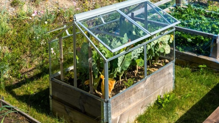 How To Build A Raised Garden Bed Greenhouse
