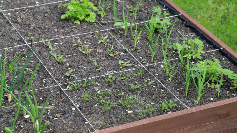 How To Build A Square Foot Garden
