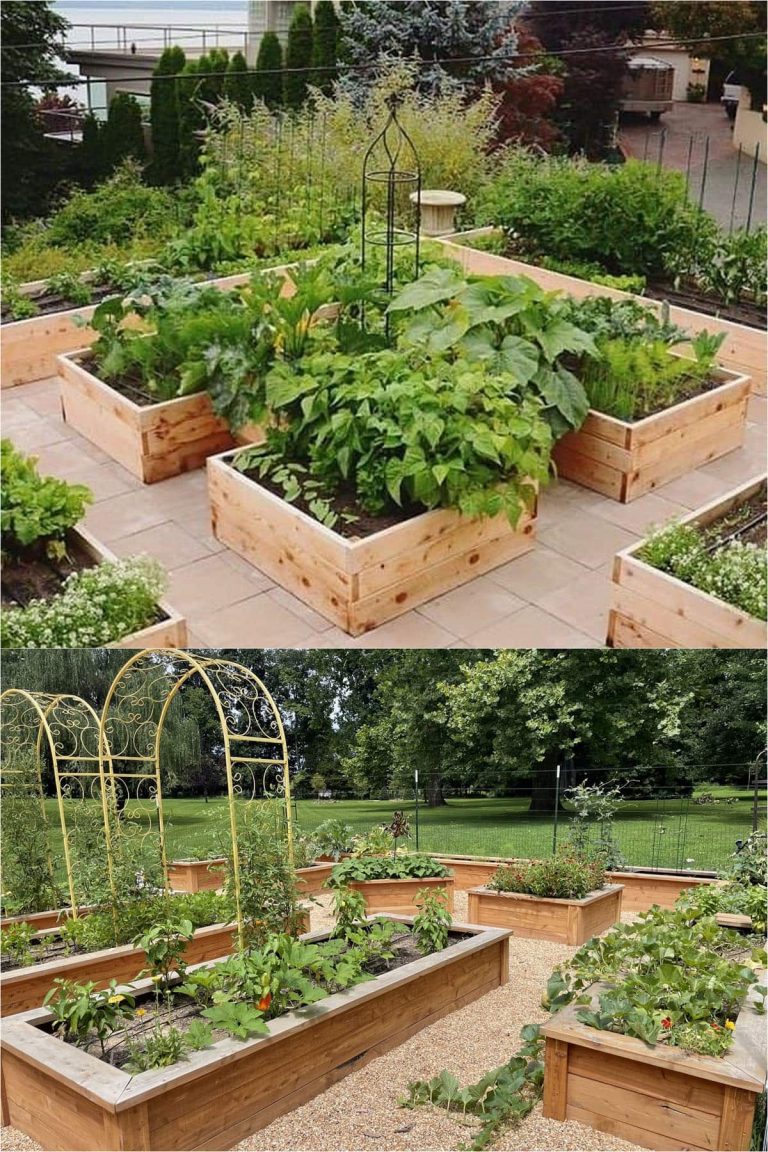 How To Design A Raised Bed Vegetable Garden